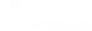 Kia Logo transparent