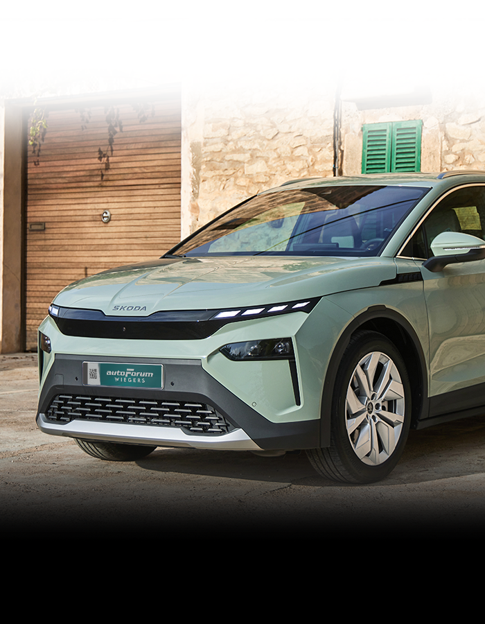 Skoda Elroq Kachel